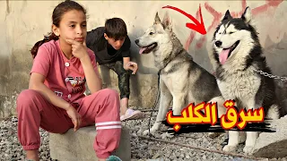 فلم قصير|مربية الكلاب🦮|نسرق واحد من كلابهة كارثة😱(#حيدرالنسر)