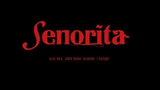 [Accordion](G)I-DLE (여자아이들) - Senorita