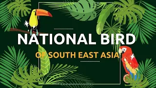 Discovering the Majestic National Birds of Southeast Asia