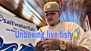 Unboxing live fish from Saltwaterfish.com