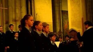 PCSM (Petits Chanteurs de Saint Marc)- Les orphelins