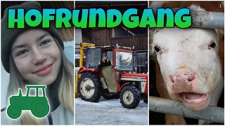 HOFRUNDGANG 🚜 Unser Bauernhof | Dorfkind AT