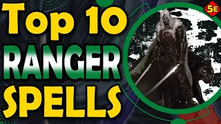 Top 10 Best Ranger Spells in DnD 5E