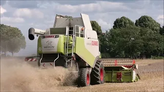 Claas Lexion 570 beim Weizen dreschen.