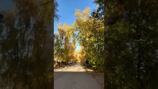 КРАСКИ ОСЕНИ.🍁💫 Караганда. Заури Оспанова.