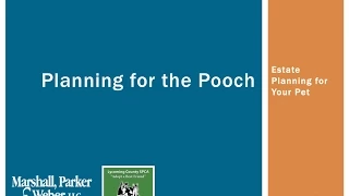 Planning for the Pooch - Estate Planning for Your Pet