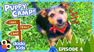 Sleepaway Camp Surprises Kids With Puppies?! | Dodo Kids | Dog Days Of Summer Camp | Episode 4