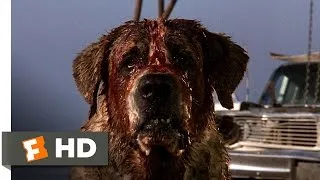 Cujo (7/8) Movie CLIP - Donna Is Bitten (1983) HD