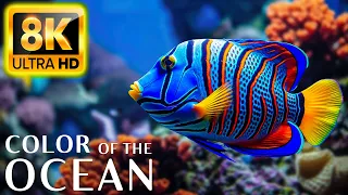 Colors Of The Ocean 8K Video ULTRA HD - The best sea animals for relaxing and soothing music #26