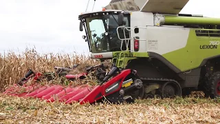 Claas Lexion terra trac 760 + Geringhoff 10 rangs