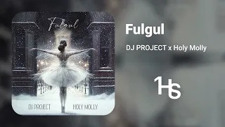 DJ PROJECT x Holy Molly - Fulgul | 1 Hour