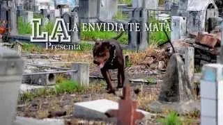 LA ENVIDIA LOS MATA