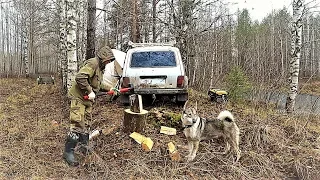 ''В ЛЕС С НОЧЁВКОЙ'' К ПАЛАТКЕ ПРИШЁЛ ЗВЕРЬ! ''ИЩУ МЕТАЛЛ ГДЕ БЫЛА ДЕРЕВНЯ'' ЗАКИДЫВАЮ ДОНКИ!