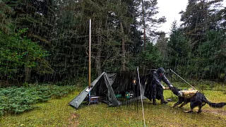 Rain Camping in 2 Sections and Awning Tent | Mars Doesn't Want Me to Light the Stove!