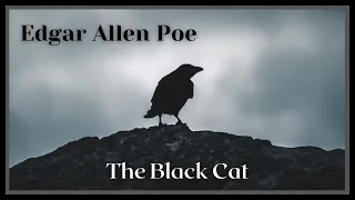 The Black Cat - Edgar Allen Poe - Audio Recording