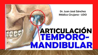 🥇 TEMPOROMANDIBULAR Joint. Easy, Quick and Simple