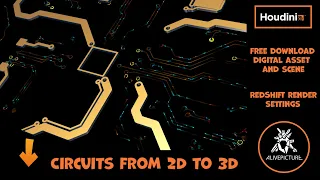 Circuit. From 2D to 3d. Houdini digital asset