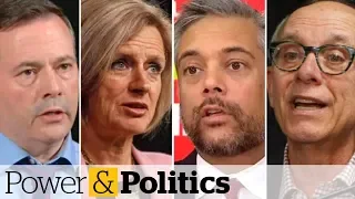 What's at stake in the Alberta election? | Power & Politics