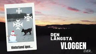 #Snön anländer till #Norrbotten, jippiii...not!! 😱 Vlogg31