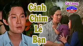 Cai Luong Canh Chim Le Ban
