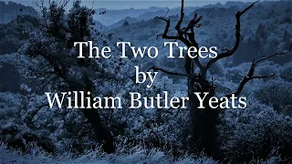 The Two Trees by William Butler Yeats