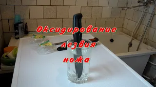 Как оксидировать лезвие ножа, чтобы оно не ржавело.