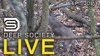 Horizontal Rub & Scrape: Deer Society LIVE Roundtable Episode #1