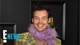 Harry Styles REVEALS "Watermelon Sugar's" NSFW Meaning | E! News