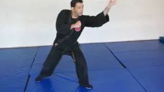 Sanshin Tsuki no Kata