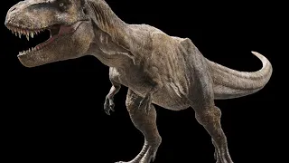 Tyrannosaurus Rex Sounds Part 2 J.P