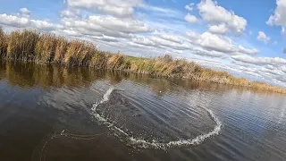 ЭТА СНАСТЬ НЕ ОСТАВИТ ВАС БЕЗ УЛОВА!!!  НАШЛИ РЫБУ И НАЧАЛИ ЕЁ ТАСКАТЬ...