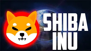 SHIBA INU ГОТОВИТ ТУЗЕМУН УЖЕ ХХ.01.22! 5Х МИНИМУМ ОБЕСПЕЧЕНО! ПОДРОБНЫЙ РАЗБОР ПЕРСПЕКТИВ ШИБА ИНУ!