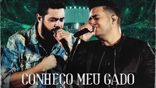 Henrique & Juliano - Conheço Meu Gado (DVD Ao Vivo no Ibirapuera) [Áudio Oficial]