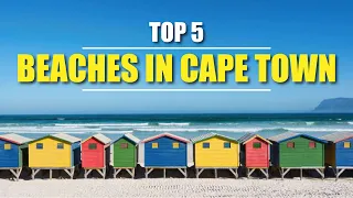 Top 5 Beaches in Cape Town | Africa Incoming