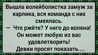 Женился Карлик На Дылде! Сборник Свежих Анекдотов! Юмор! Позитив!