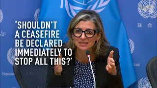 ‘Shouldn’t a ceasefire be declared immediately to stop all this?’ asks UN Rapporteur