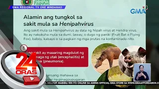 Hindi "Nipah virus" ang dahilan ng pagkakasakit ng ilang estudyante sa CDO — DOH | 24 Oras