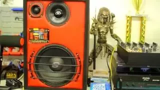 Custom built DD full range speakers
