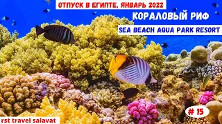 Кораловый риф в отеле Sea Beach Aqua Park Resort | Январь 2022 | Часть 15-я.