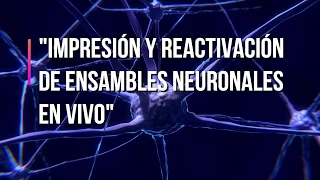 Coloquio ICF | Dr. Luis Alberto Carrillo - Instituto de Neurobiología UNAM