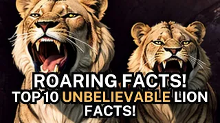 Roaring Facts | Top 10 Unbelievable Lion Facts!