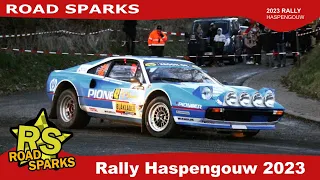 Rally Haspengouw 2023