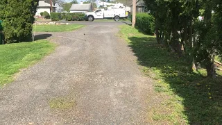 How To Kill Weeds Grass in Gravel Driveway PART 1