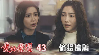 愛的榮耀 EP43 偷拐搶騙｜Glory of Love