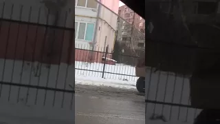 Комунальне ноу-хау в Луцьку: тротуар посипають на ходу з кузова трактора