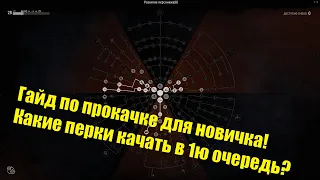 Какие перки прокачивать в 1ю очередь новичку. Stay out/Сталкер онлайн.