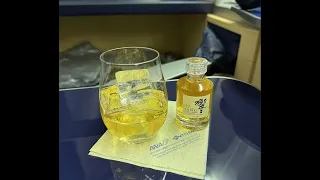 Fly with me from Tokyo (NRT) to Los Angeles (LAX) | 12 HOURS aboard ANA's First Class