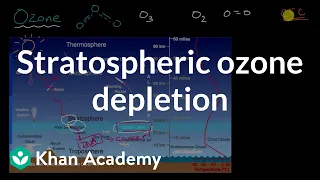 Stratospheric Ozone Depletion| Global change| AP Environmental Science| Khan Academy