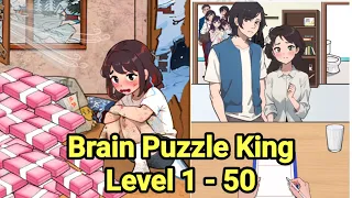 Brain Puzzle King All Levels 1 - 50 Walkthrough Solution