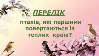 Перелітні птахи ВЕСНА | Перелік птахів які повертаються у рідні краї @videopresentazii